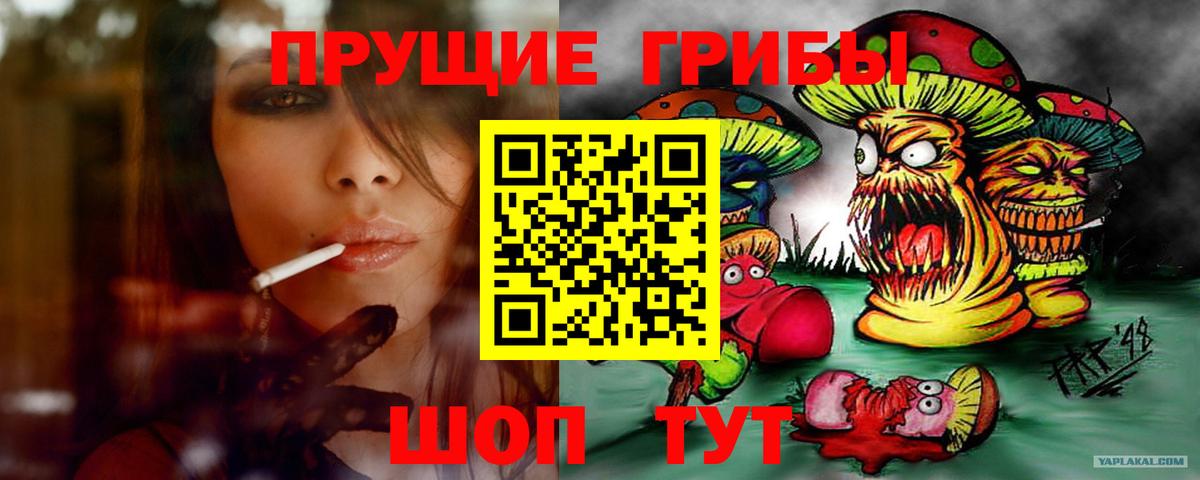 Обнинск  Галлюциногенные грибы прущие грибы  Вход с VPN 
